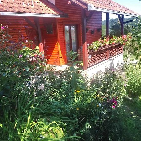 Guest House Little Heaven Užice المظهر الخارجي الصورة